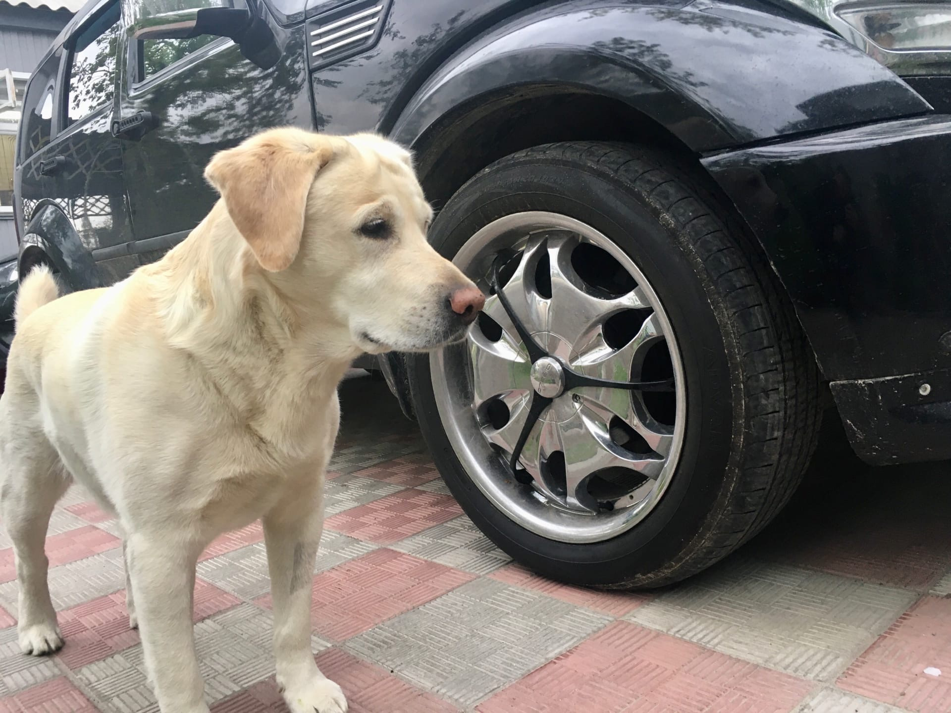 провис бампер — Dodge Nitro, 3,7 л, 2007 года | своими руками | DRIVE2