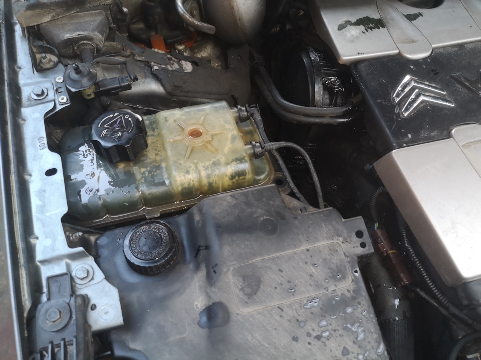 Лопнул патрубок антифриза — Citroen C5 (2G), 2,7 л, 2008 года | поломка ...