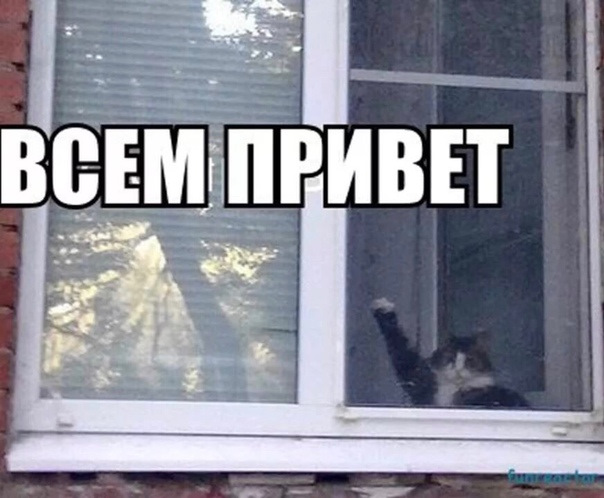 Что лучше сигнализация призрак или старлайн. Смотреть фото Что лучше сигнализация призрак или старлайн. Смотреть картинку Что лучше сигнализация призрак или старлайн. Картинка про Что лучше сигнализация призрак или старлайн. Фото Что лучше сигнализация призрак или старлайн