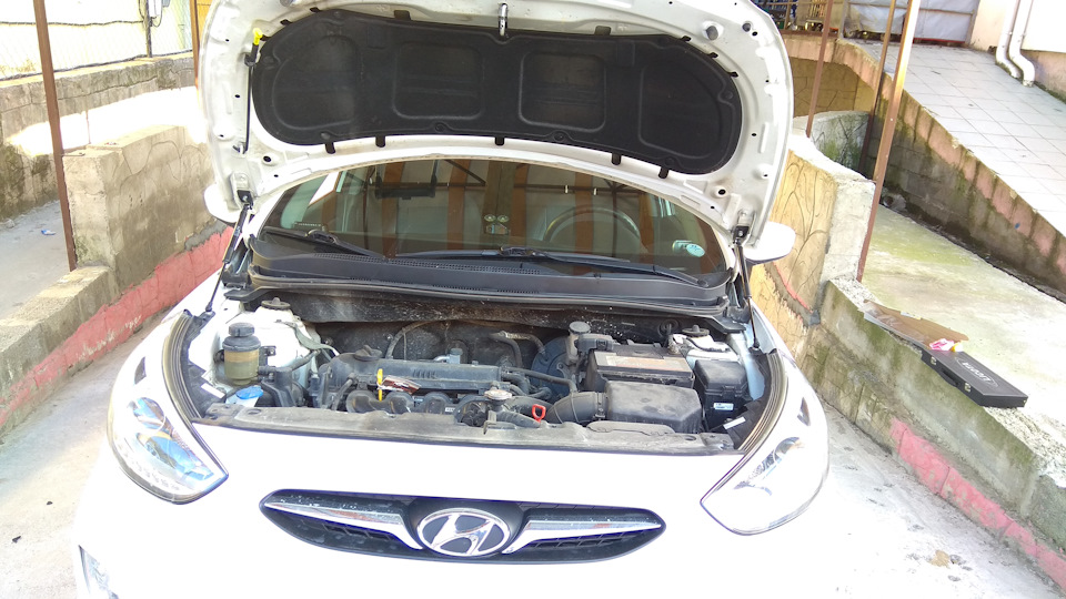 Установил газовые упоры капота — Hyundai Solaris Hatchback, 1,6 л, 2013 ...