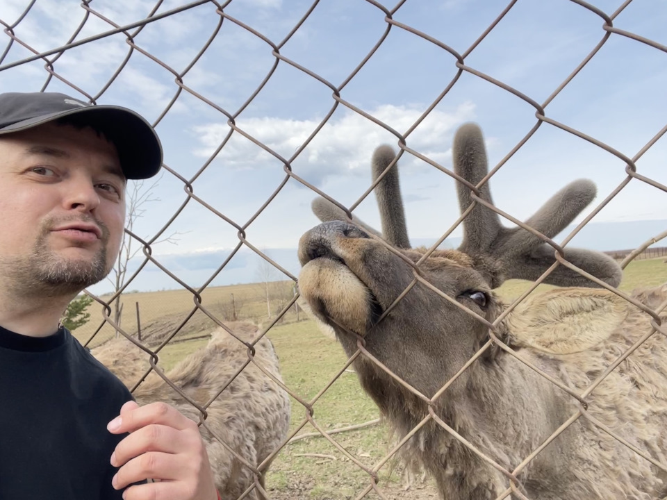 Фото в бортжурнале Toyota Land Cruiser 100