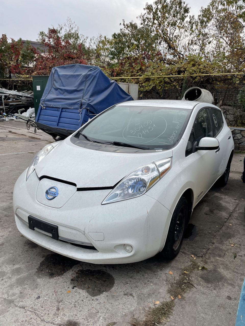 Авто в порту Одесса и встреча авто в своём городе — Nissan Leaf (1G), 2013  года | встреча | DRIVE2