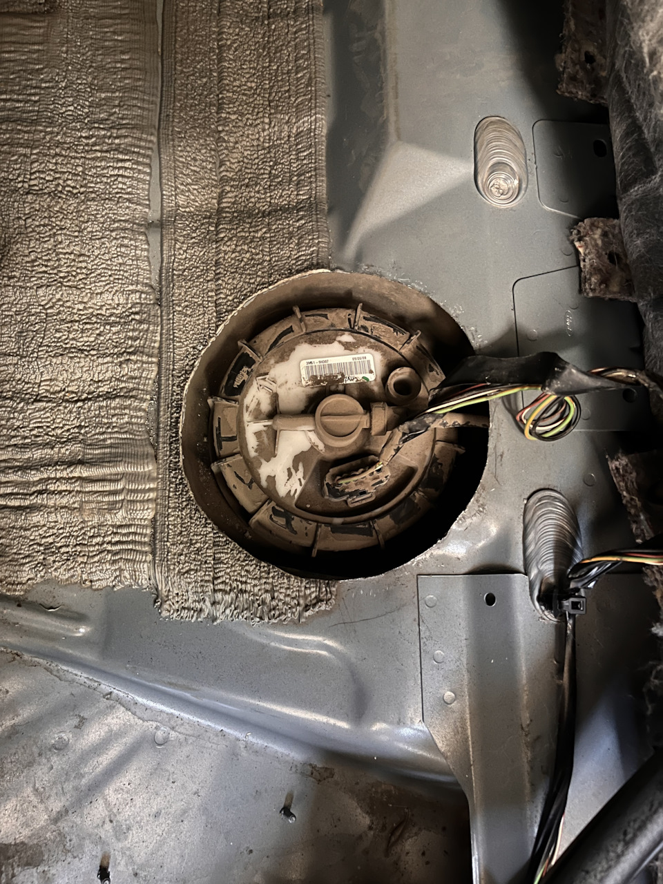 Очень аккуратненько режут — Ford Focus Hatchback II