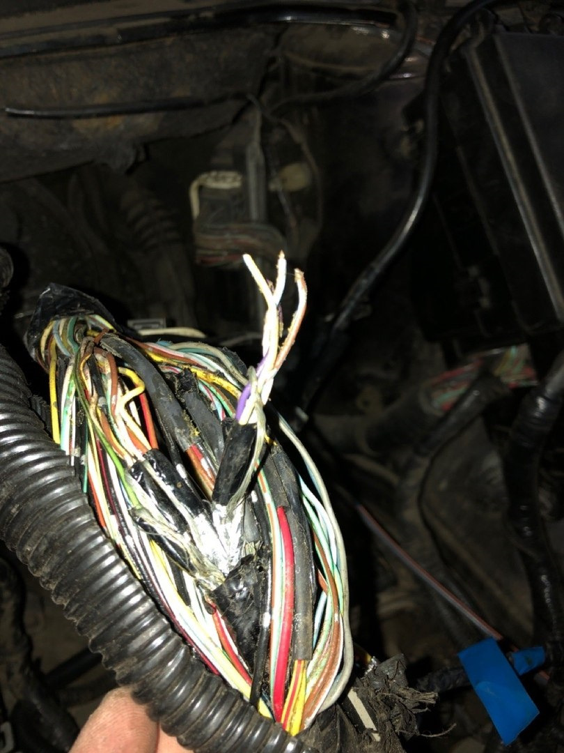 Как починить косу рассохшихся проводов мерседес под капотом. Мотор коса мерс 124. Коса водительской двери е39. Починить косу. Починить косу.