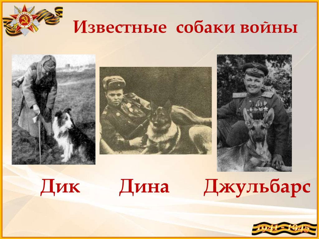 Животные в годы великой отечественной войны проект