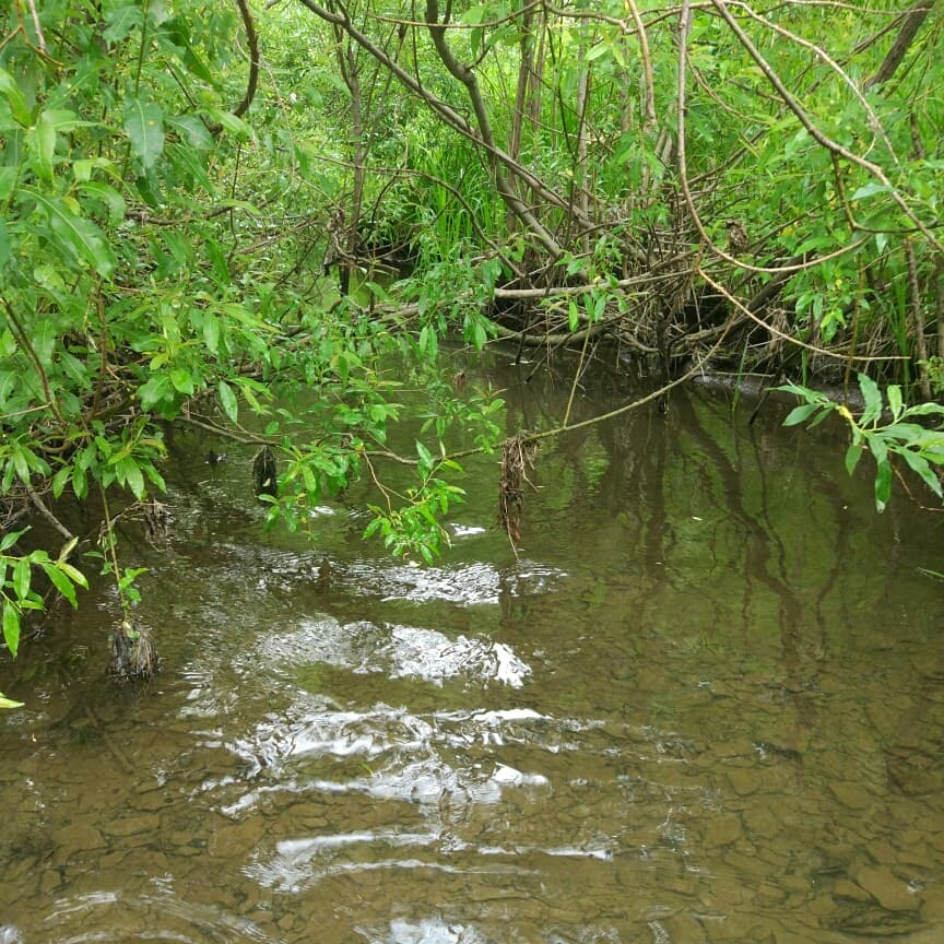 Фото в бортжурнале Suzuki Escudo (1G)