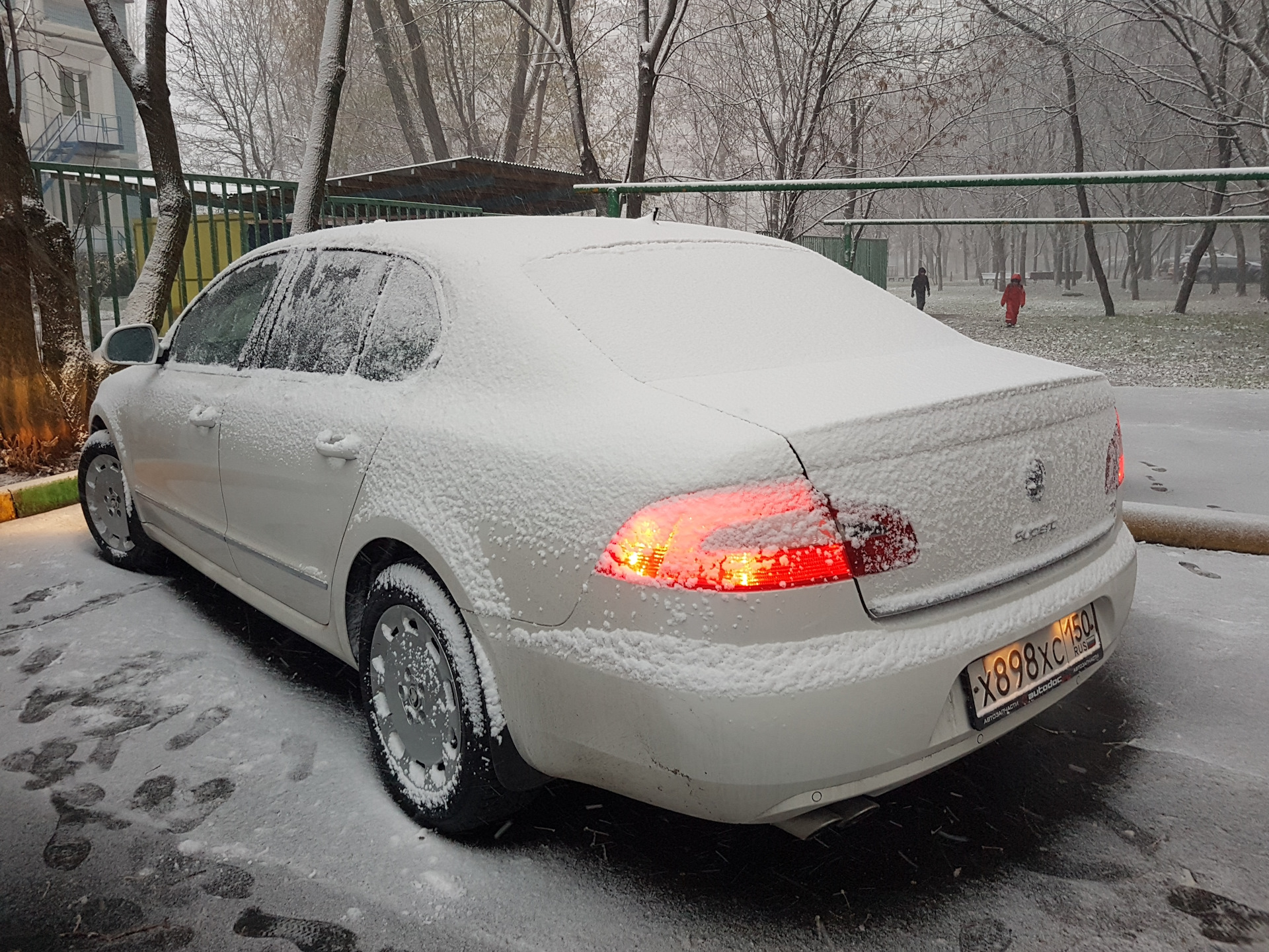 Купить На Авито Спб Шкода Суперб