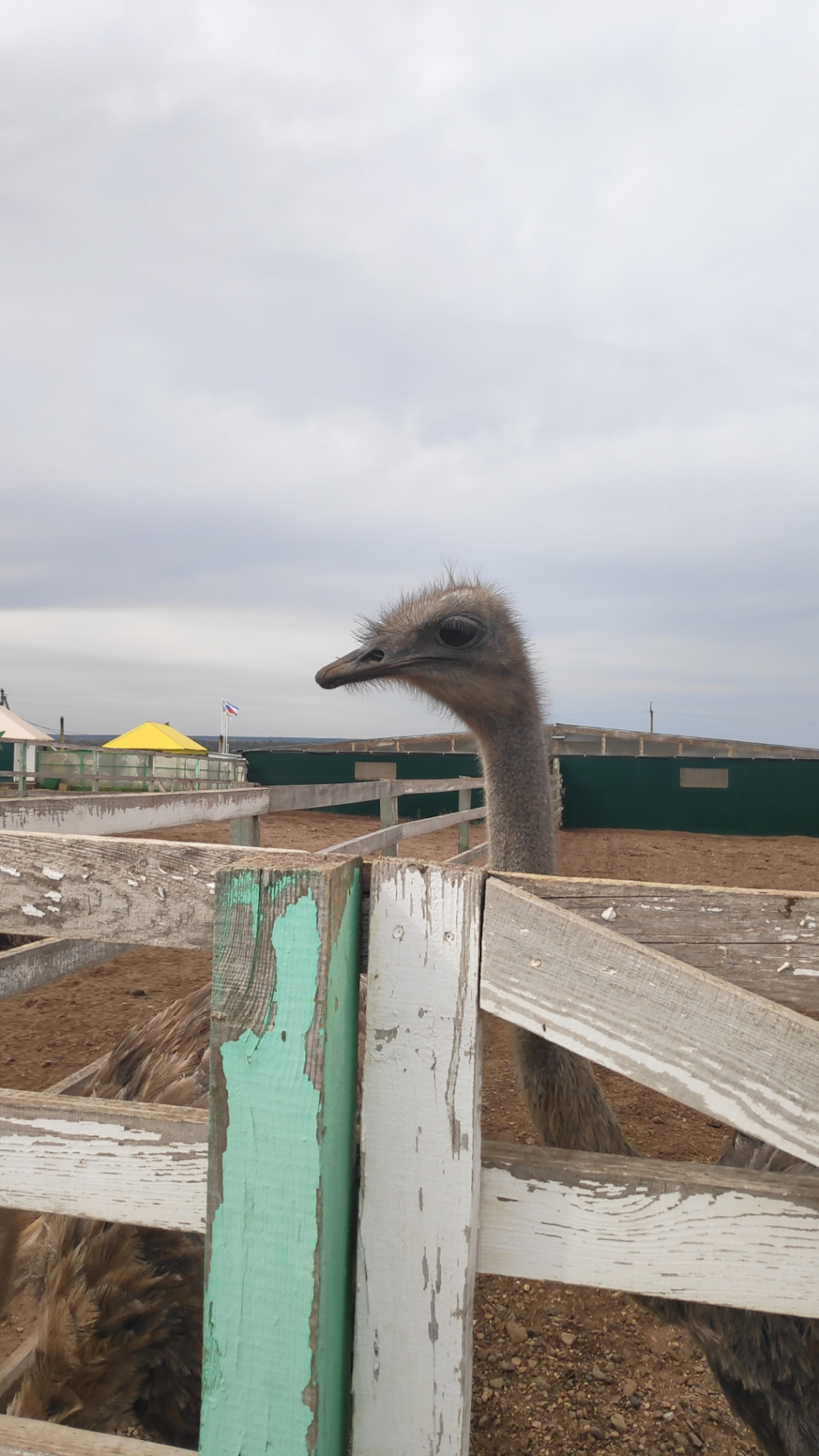 Расход топлива в отпуске. ТО. Сигналка. Прицеп — Great Wall Hover, 2,4 ...