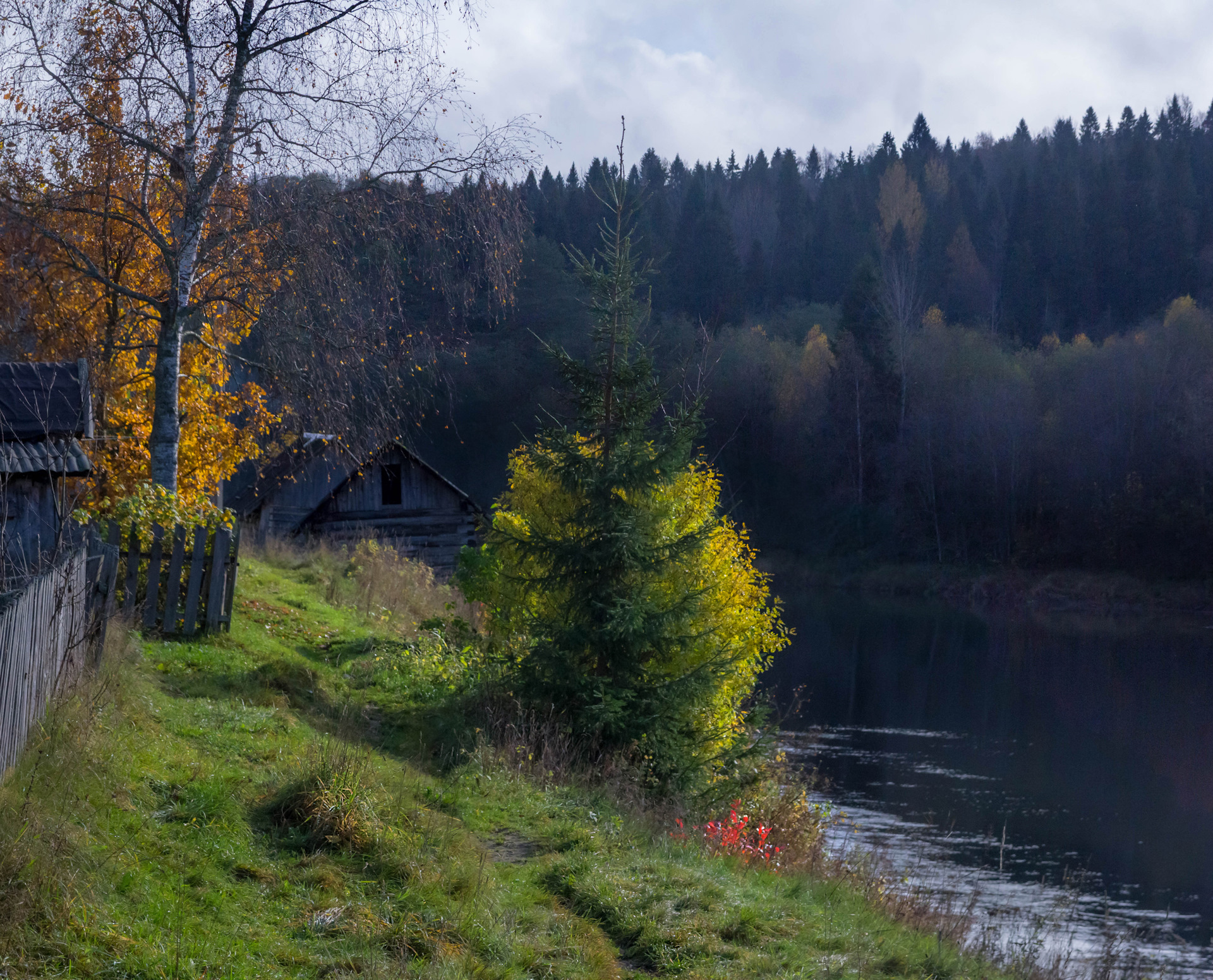 Деревня ленинградская. Оять река Вепсский лес. Вепсский лес Тихвин. Лукино Вепсский лес деревня. Вепсский лес Подпорожье.