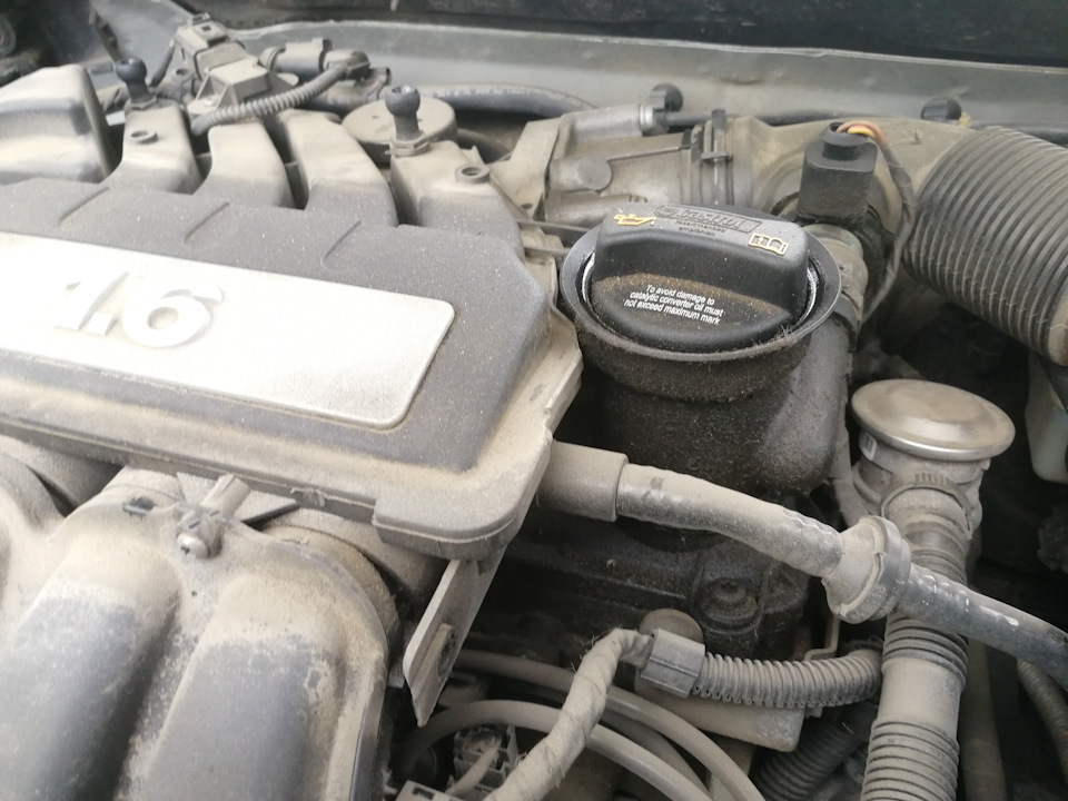 Делать или не мешать работать мотору? — Skoda Octavia A5 Mk2, 1,6 л ...