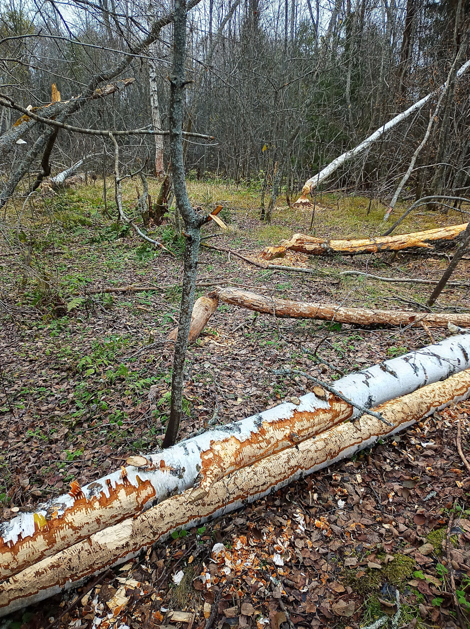 Удаление электрокрана печки. — ГАЗ 31105, 2,4 л, 2008 года | поломка ...