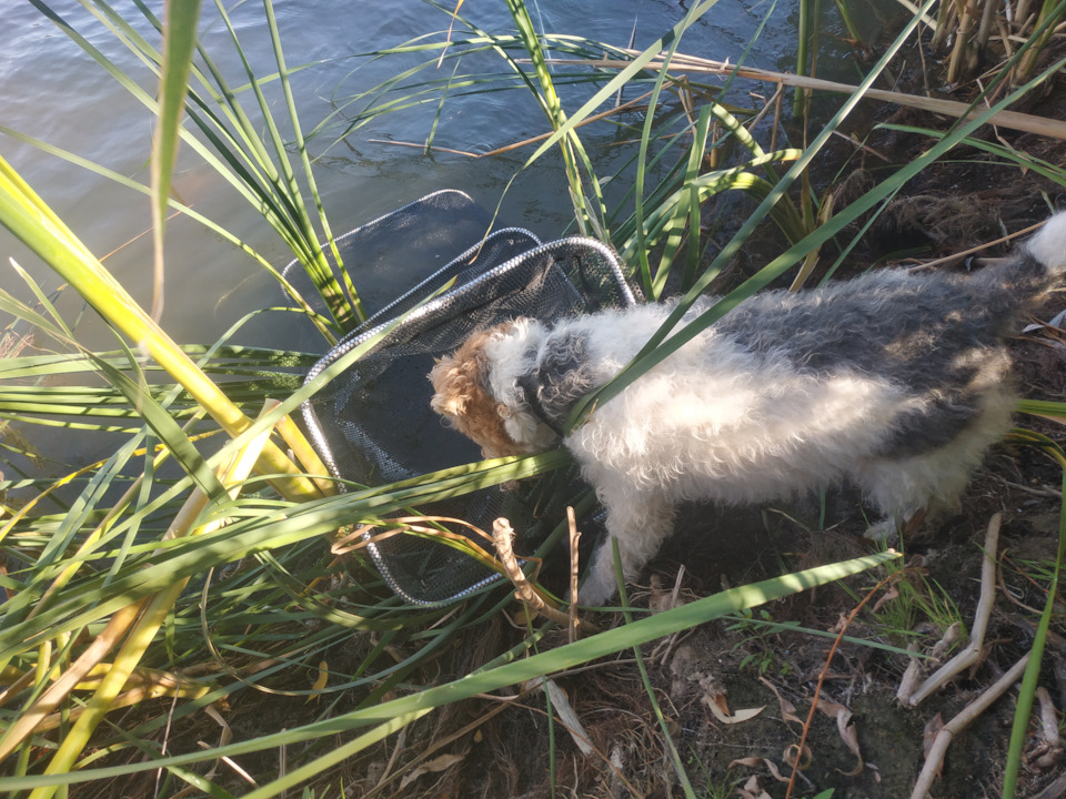 Фото в бортжурнале Mitsubishi Pajero (4G)