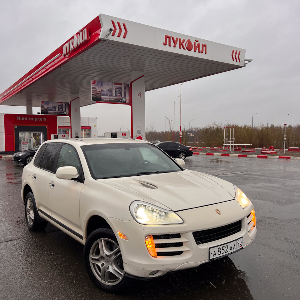 Поиск и покупка Cayenne в Оренбурге — Porsche Cayenne (1G) 955/957, 3 л,  2009 года | покупка машины | DRIVE2