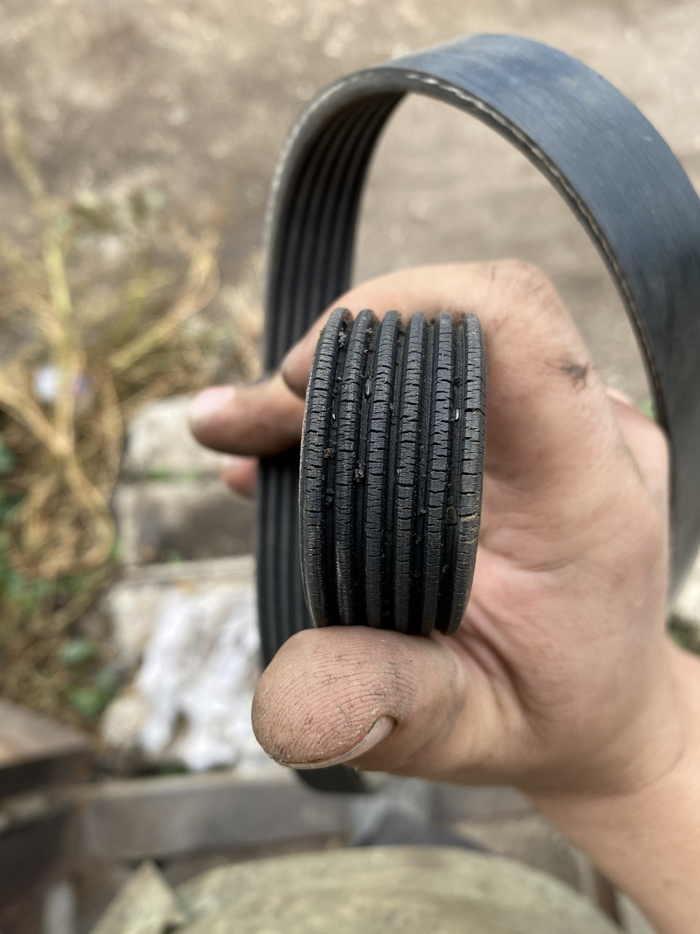 Замена ремня и снятие молдинга с дверей — Ford Mondeo III, 2,5 л, 2004 ...