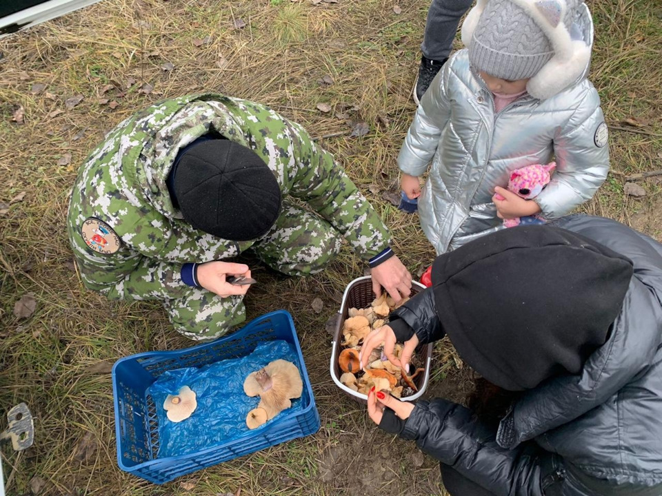 Фото в бортжурнале УАЗ Patriot