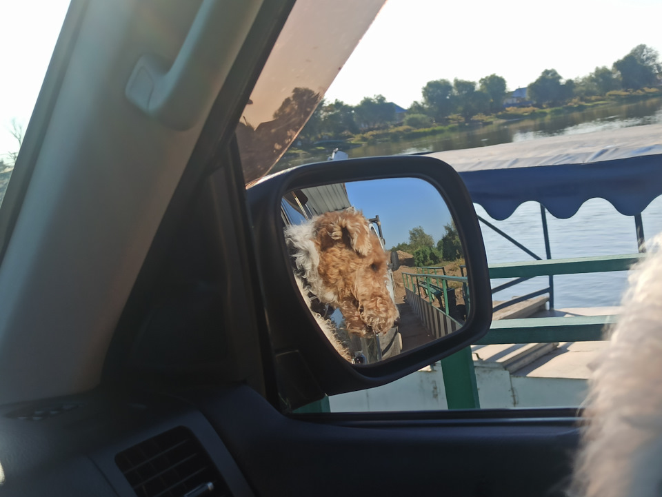 Фото в бортжурнале Mitsubishi Pajero (4G)