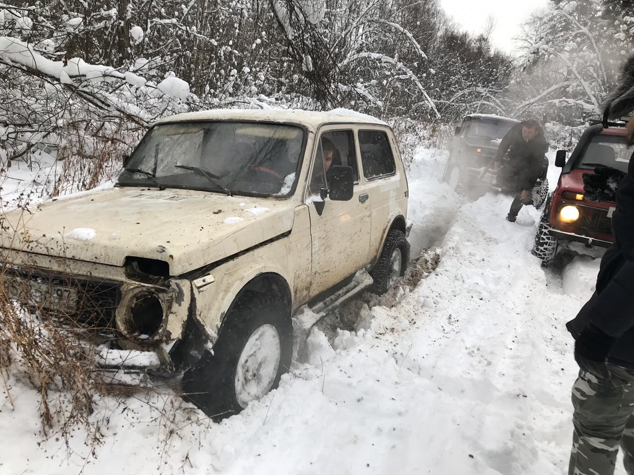 Покатушки ваз. Нива покатушки. Нива зимой. Нива в лесу. Бежевая Нива.