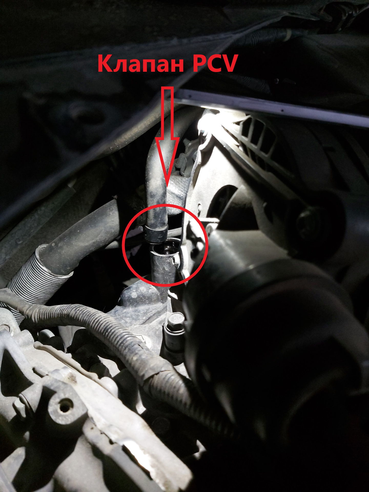 Змз 406 инжектор в ниву 21213. Холостой ход ваз 2114 инжектор. Nexia n150 8v клапан холостого хода. Ход дроссельной заслонки ваз-2114. Падают холостые обороты ваз 2109 карбюратор.