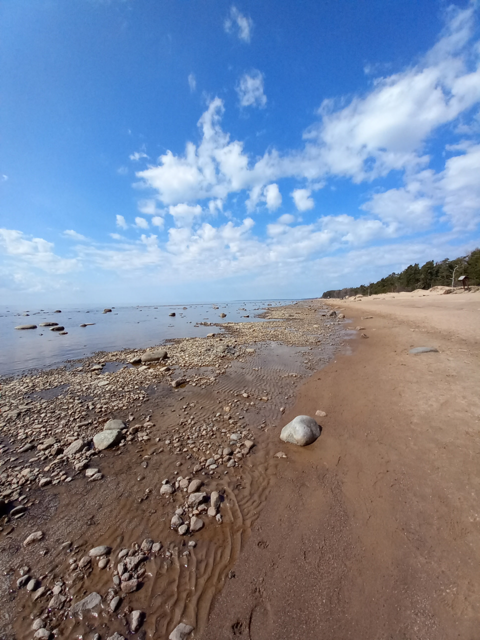 Фото в бортжурнале Renault Sandero 2G