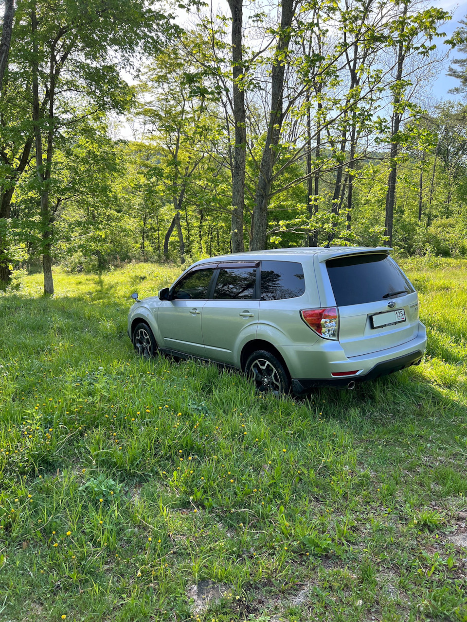 Непонятный писк ( вой) форика — Subaru Forester (SH), 2 л, 2008 года |  визит на сервис | DRIVE2