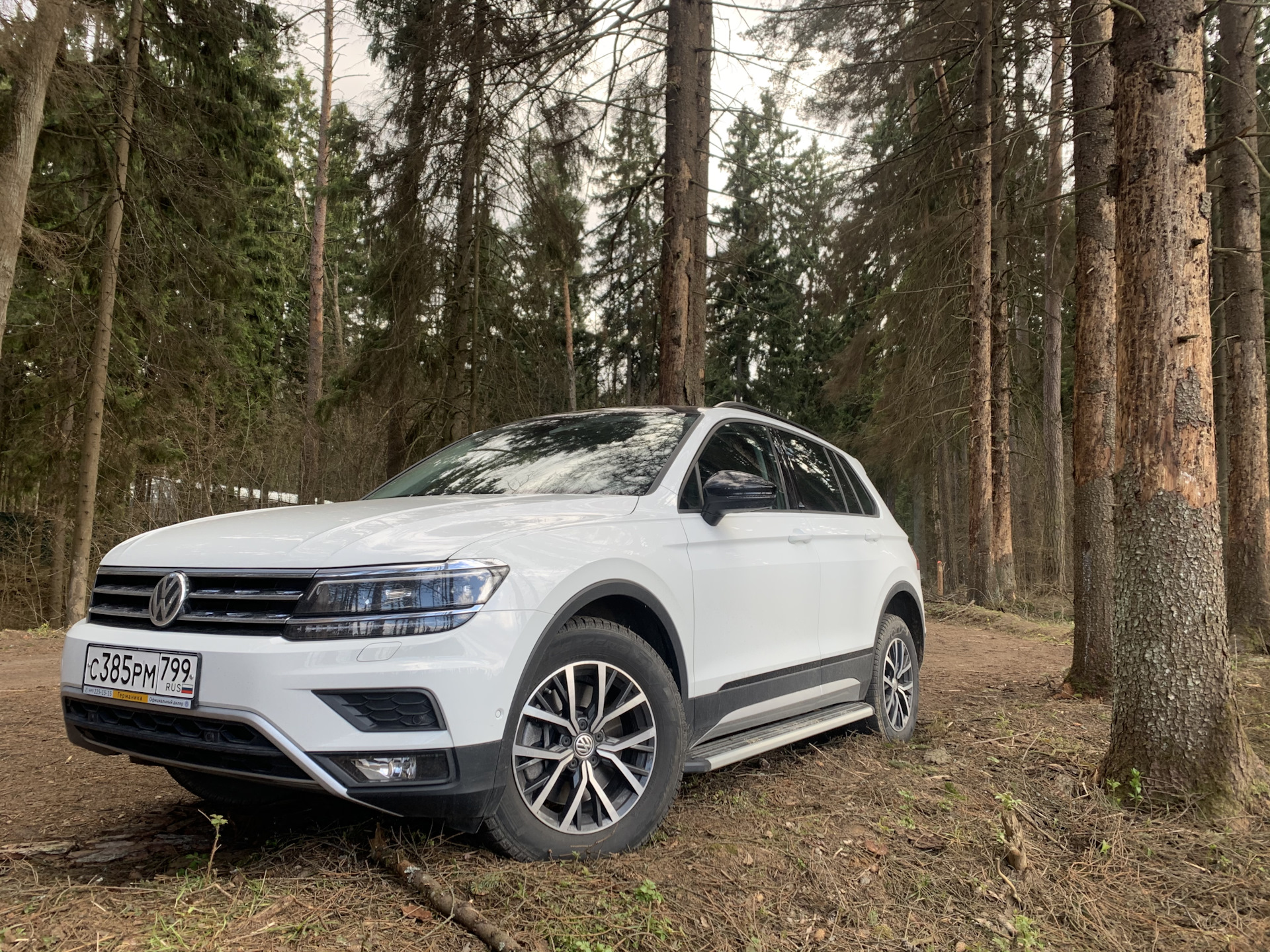 Volkswagen tiguan отзывы владельцев