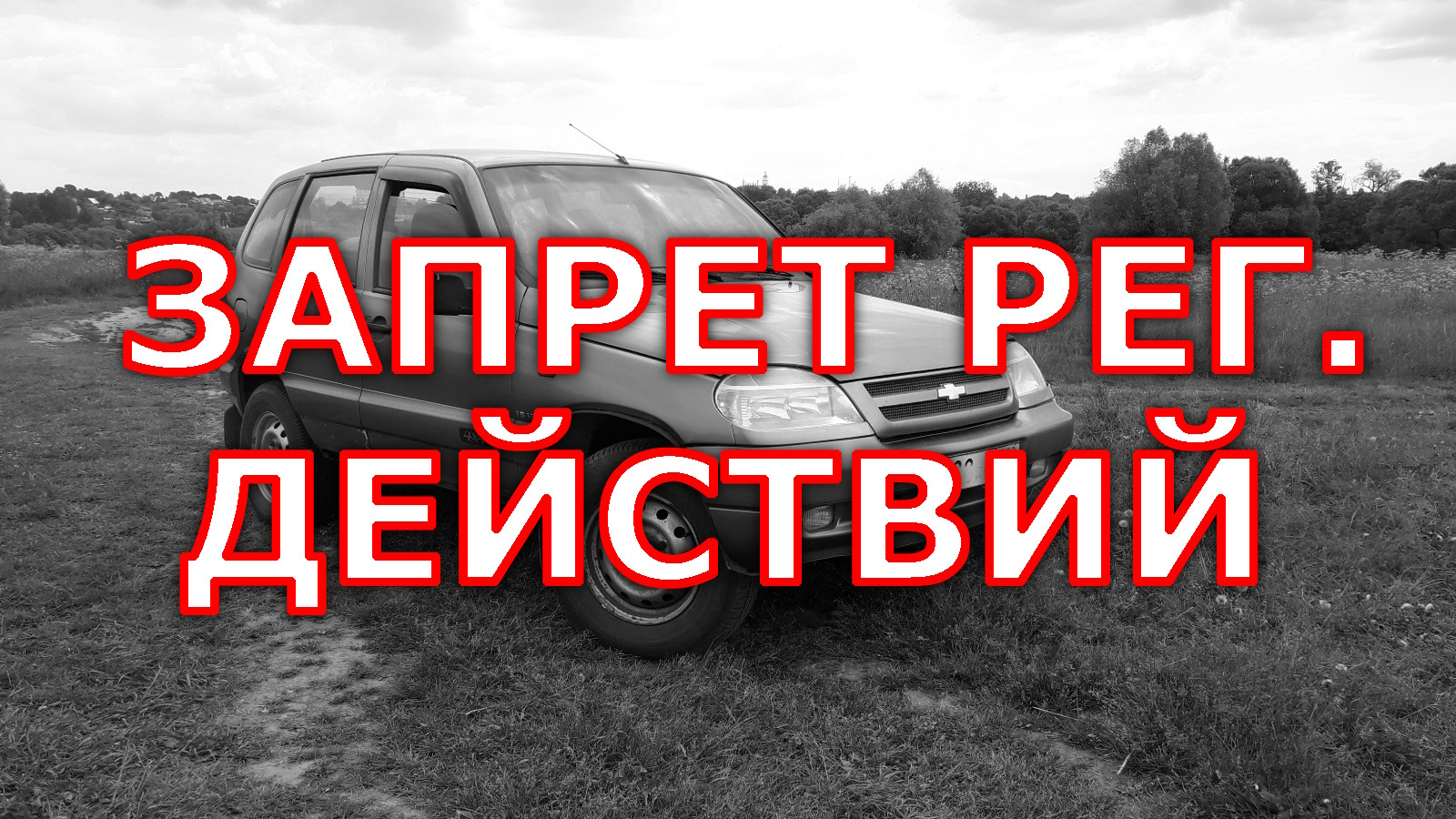 Авто с рег запретом