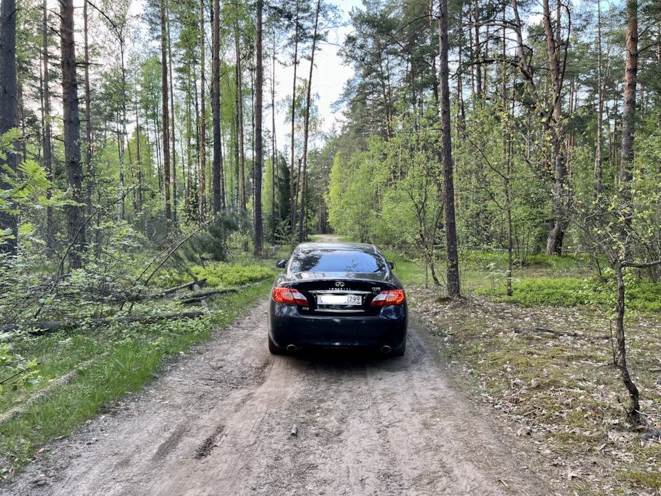 Летняя резина Nitto NT830 — Infiniti Q70, 3,7 л, 2014 года | шины | DRIVE2