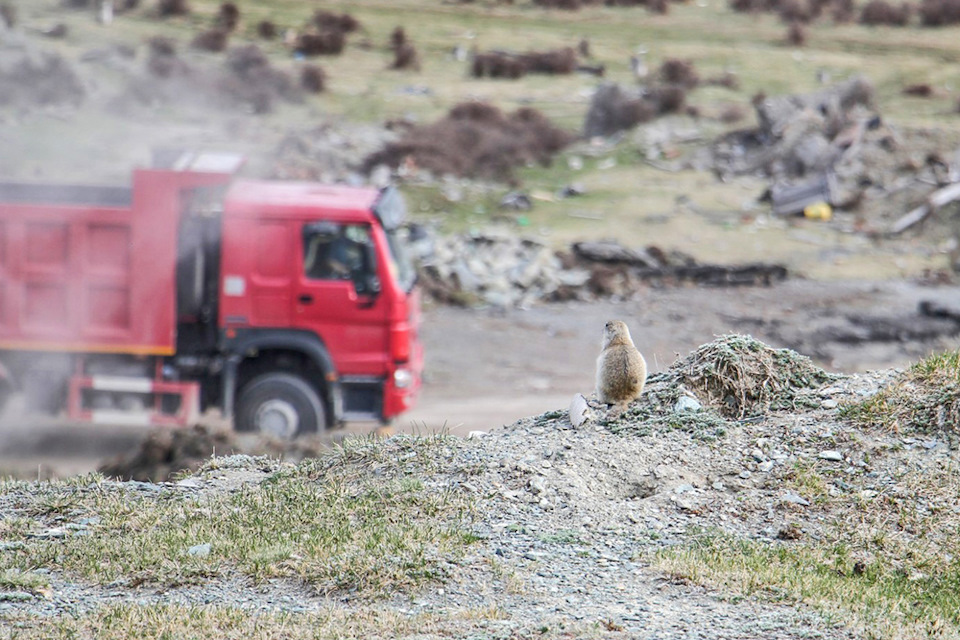 pHd9RPElKvf18ij9pOcxE0ZPGoY 960 Луна на алтае как добраться