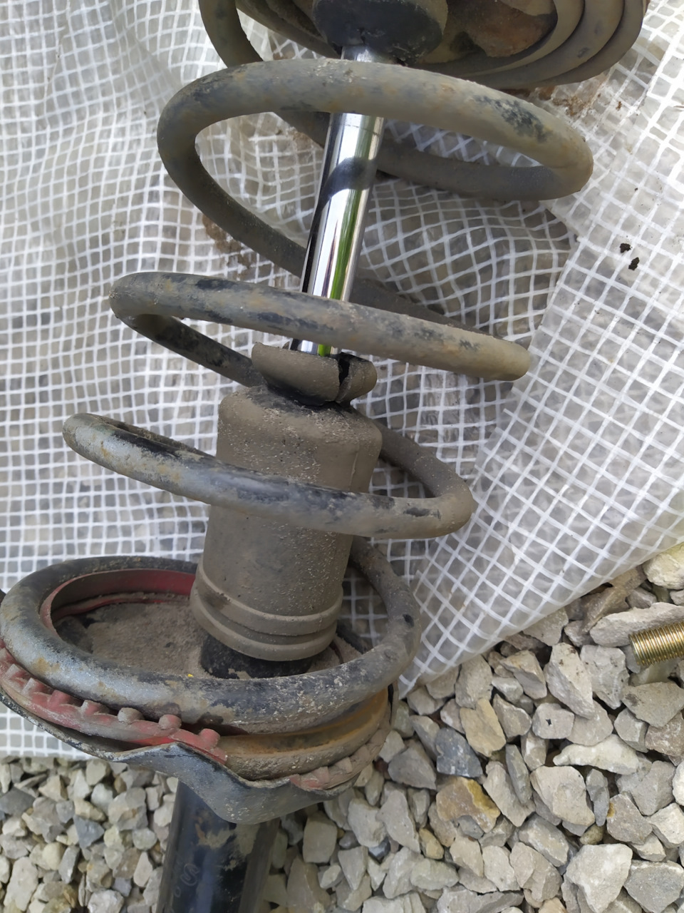 Пыльник аморта — Mitsubishi Cedia