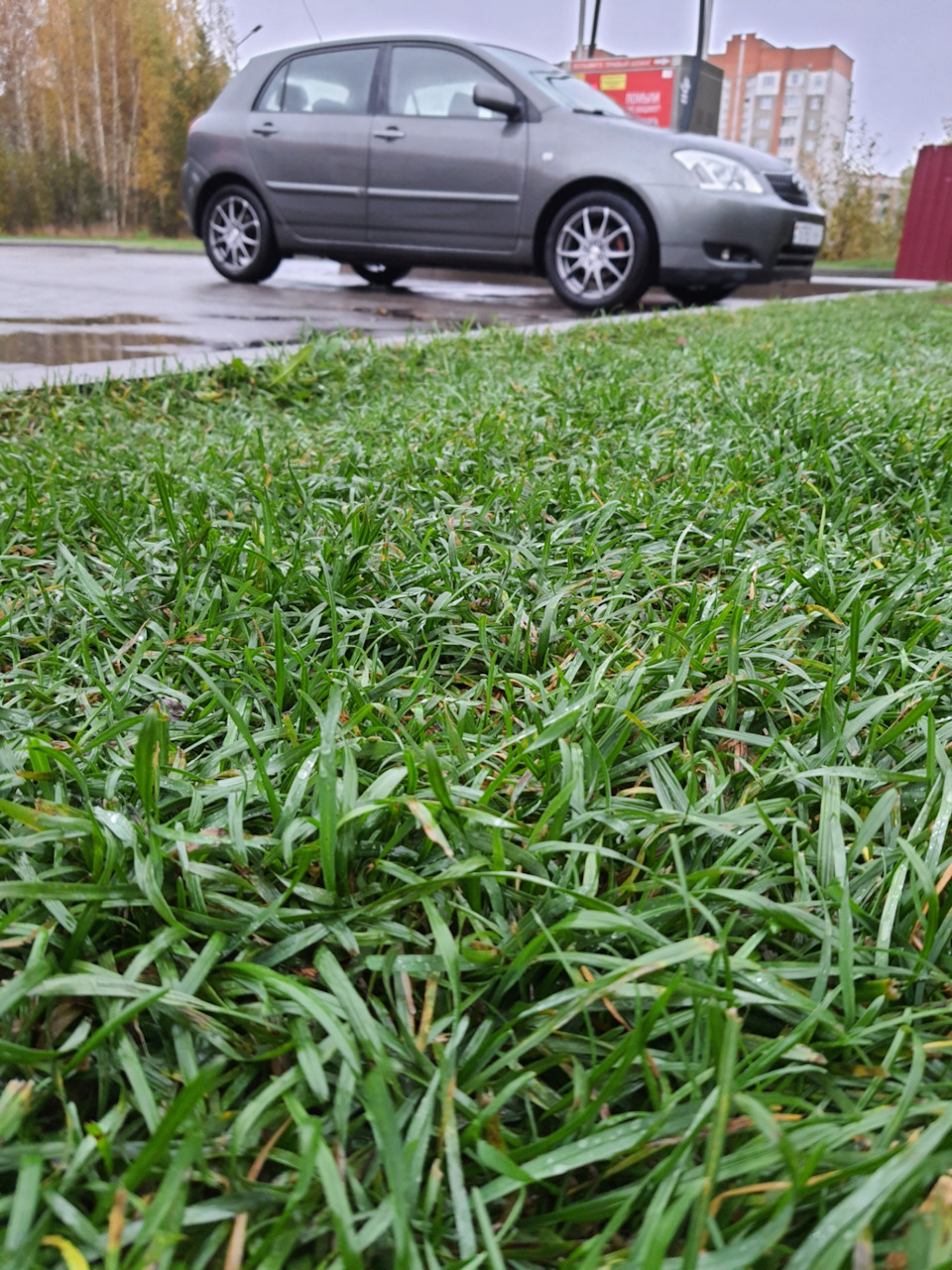 Небольшой ремонт — Toyota Corolla (120), 1,6 л, 2003 года плановое ТО