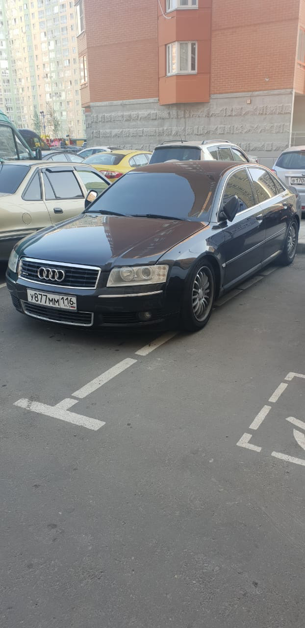 Села — Audi A8 (D3), 4,2 л, 2004 года | визит на сервис | DRIVE2