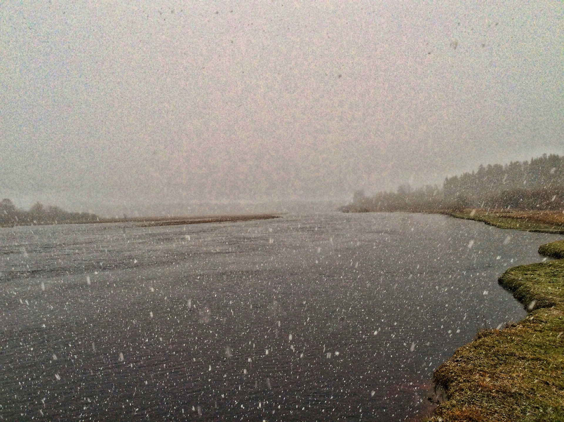 Вечная весна в одиночной камере картинки