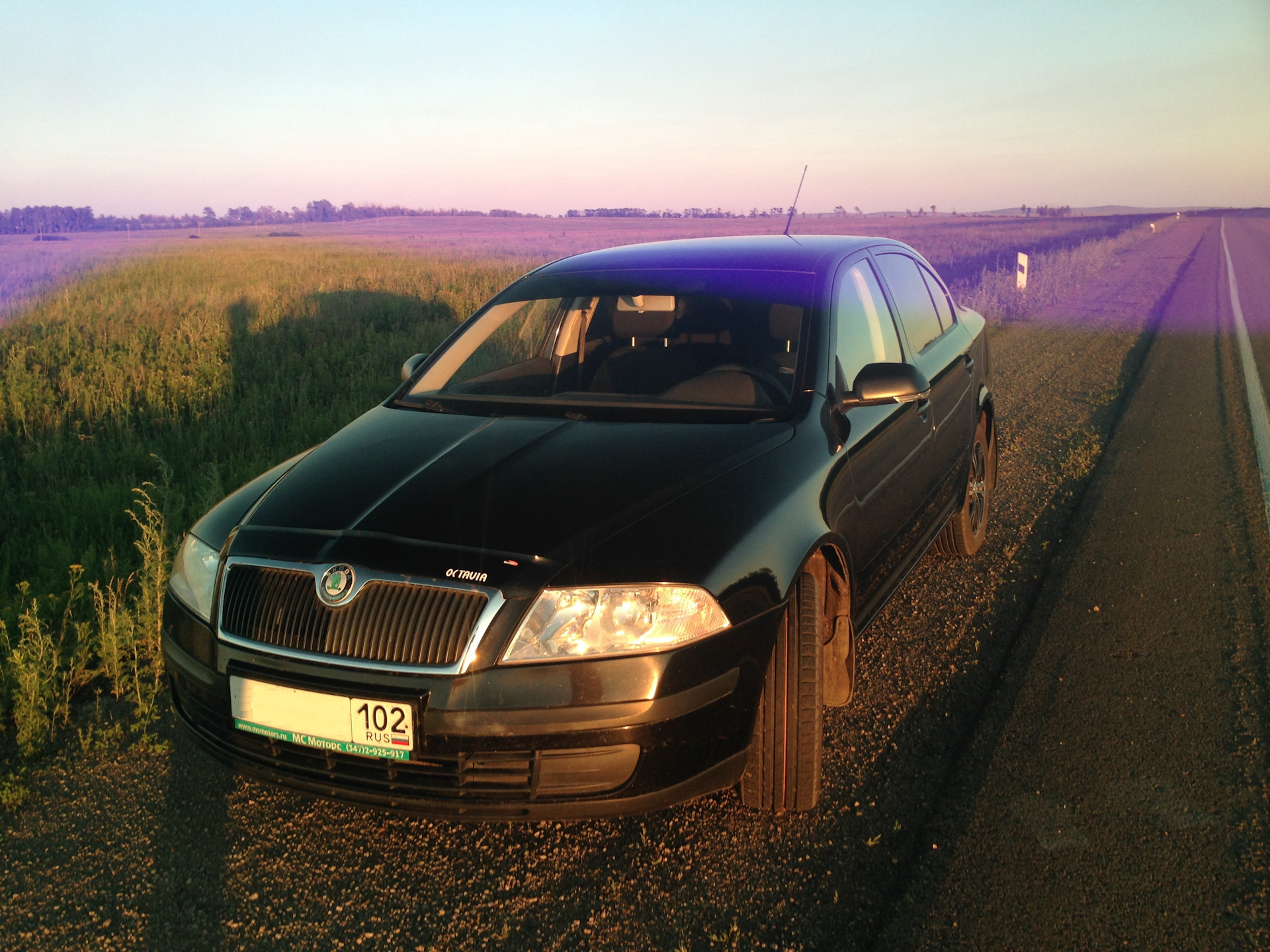 Новая летняя резина Нокиан Нордман SZ W — Skoda Octavia A5 Mk2, 1,6 л ...