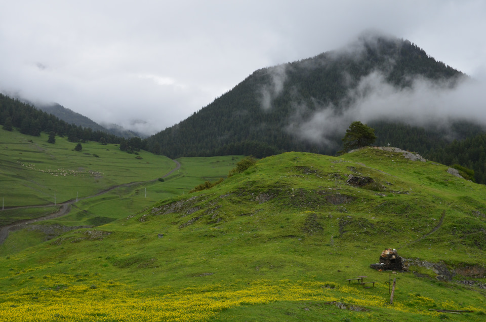 Фото в бортжурнале УАЗ Patriot