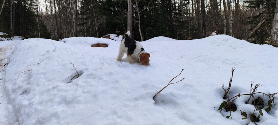 Фото в бортжурнале Mitsubishi Pajero (4G)