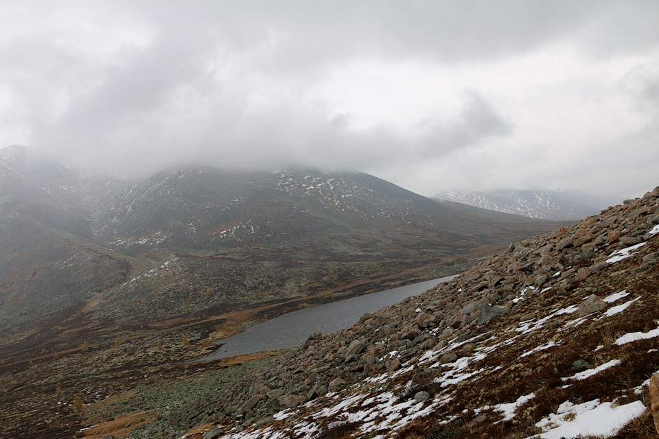 Фото в бортжурнале Toyota Land Cruiser 80