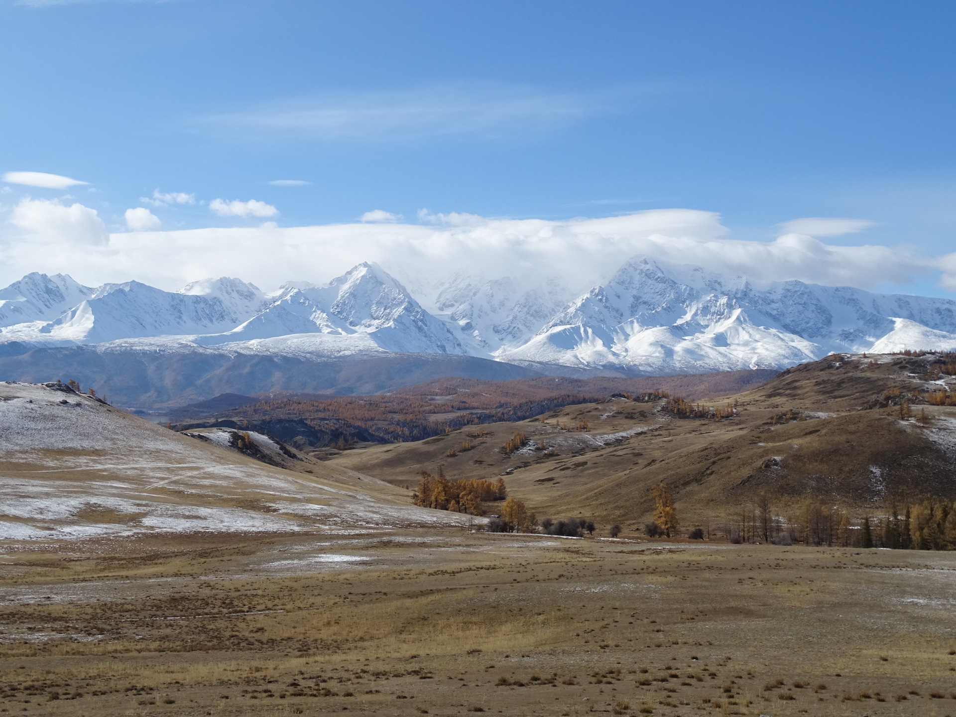 Село курай республика алтай на карте