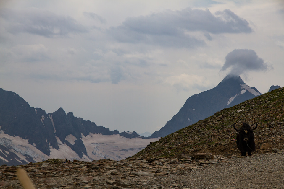 pMAAAgP hOA 960 Мусса ачитара домбай как добраться