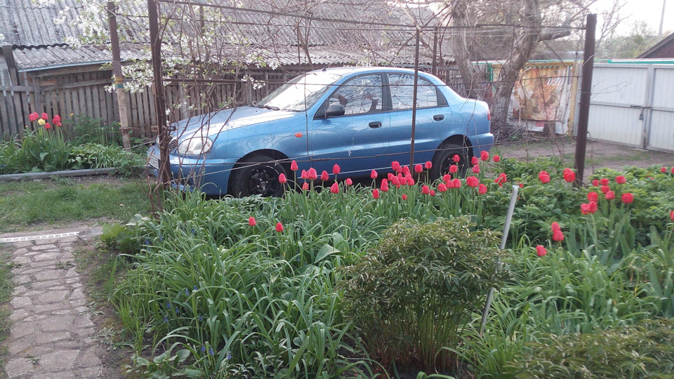 Daewoo Lanos 1.5 v8 поляк