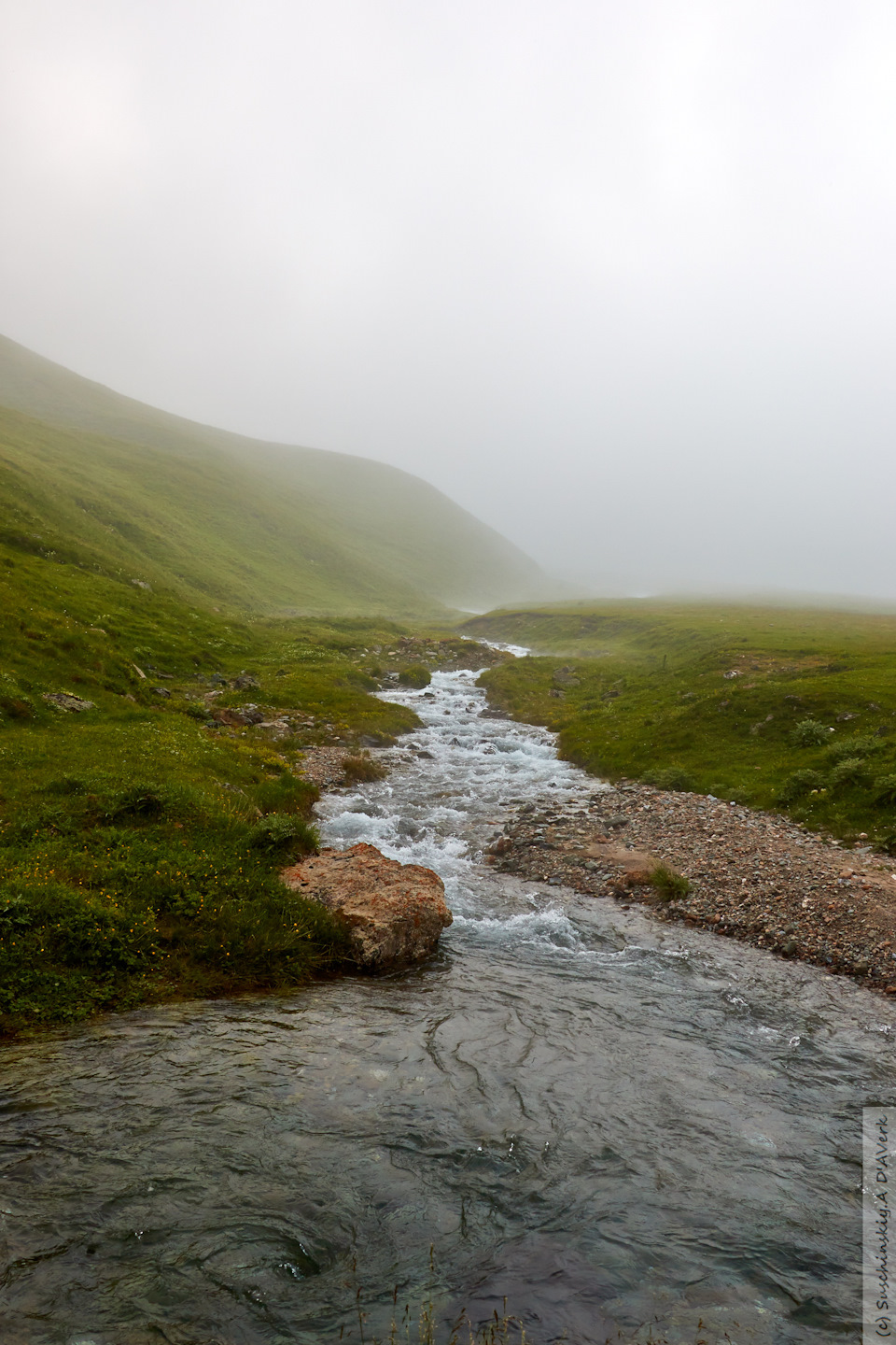 Фото в бортжурнале SsangYong Kyron