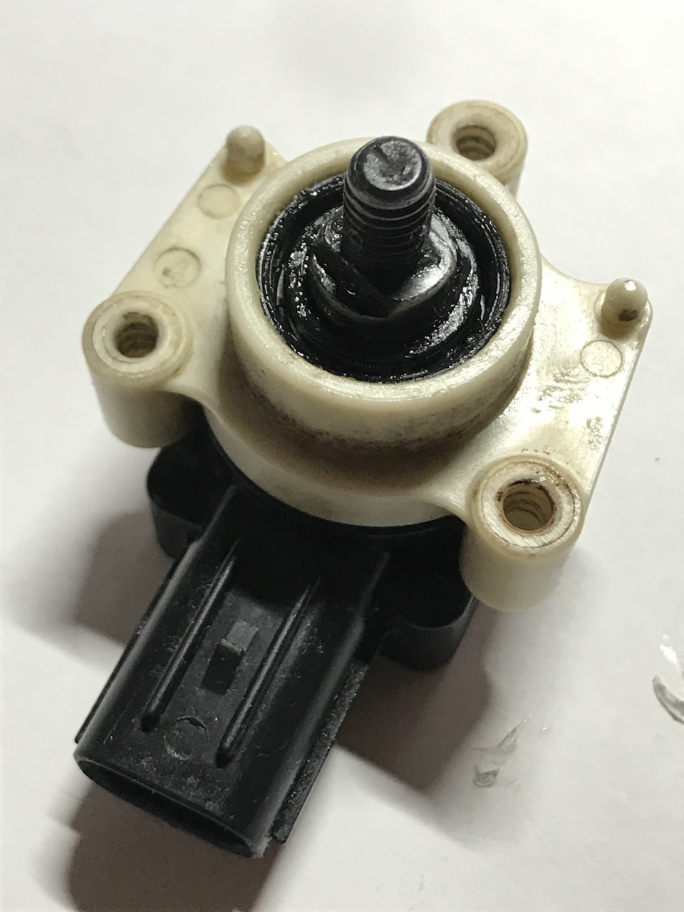 Фото в бортжурнале Subaru Outback (BP)