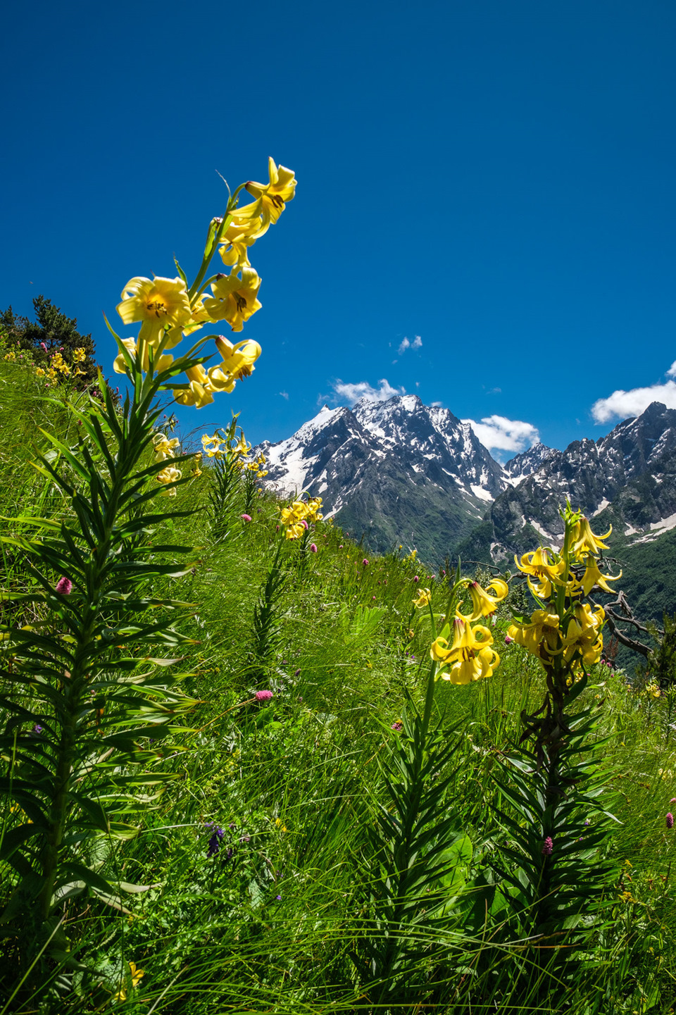 Фото в бортжурнале Renault Kaptur (2020)
