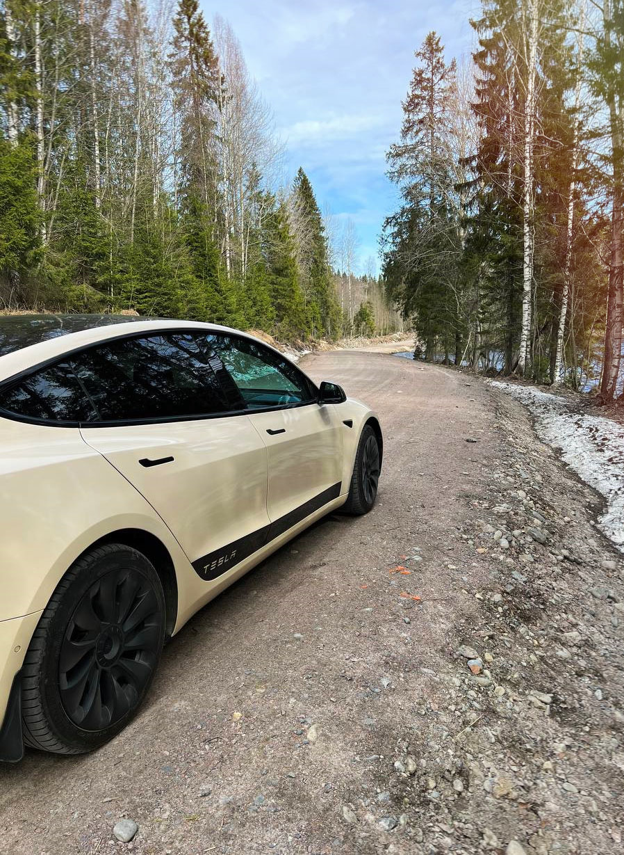 Фото в бортжурнале Tesla Model 3 (1G)