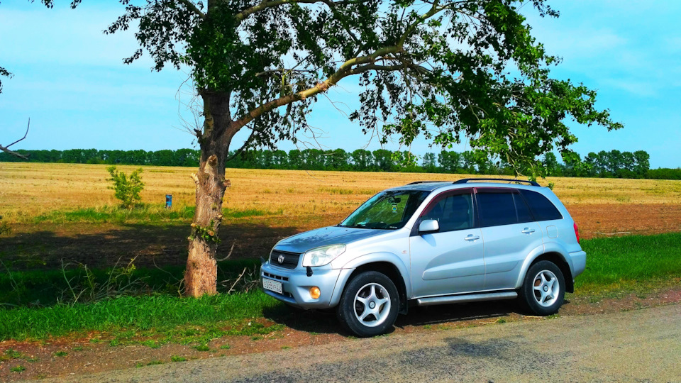 Toyota RAV4 (II) 2.0 бензиновый 2004 | Prado на минималках на DRIVE2