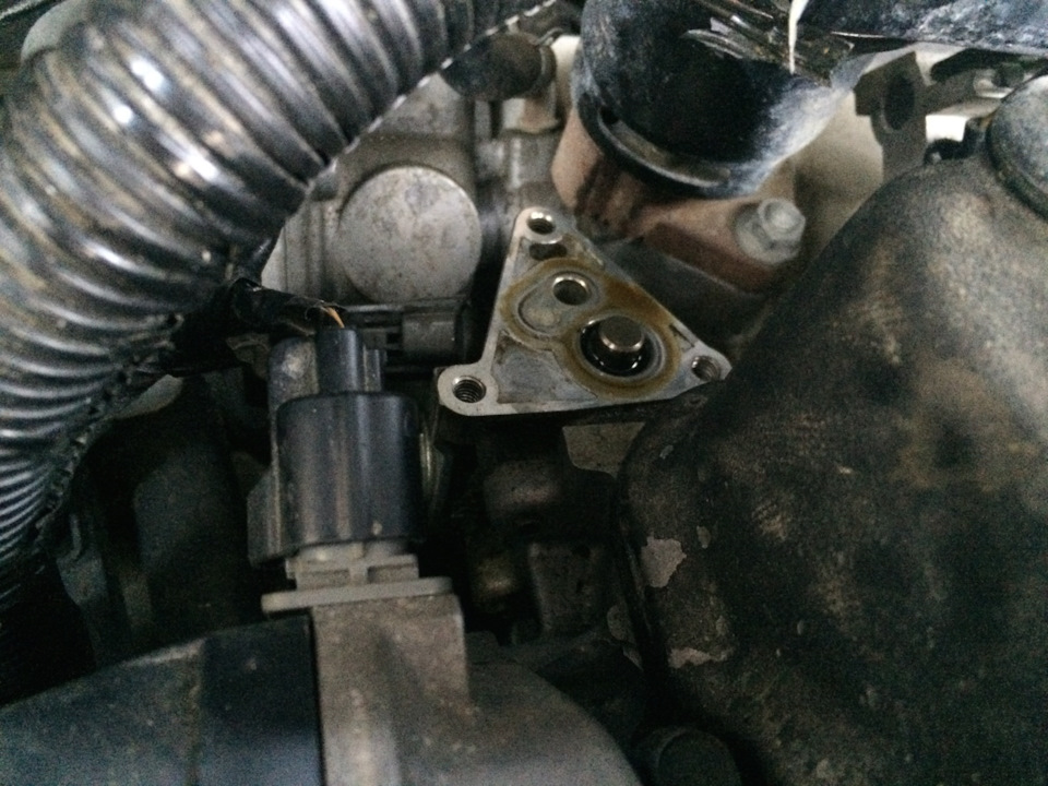 Течь масла из-под клапана VTEC — Honda Accord (6G), 1,8 л, 1999 года ...