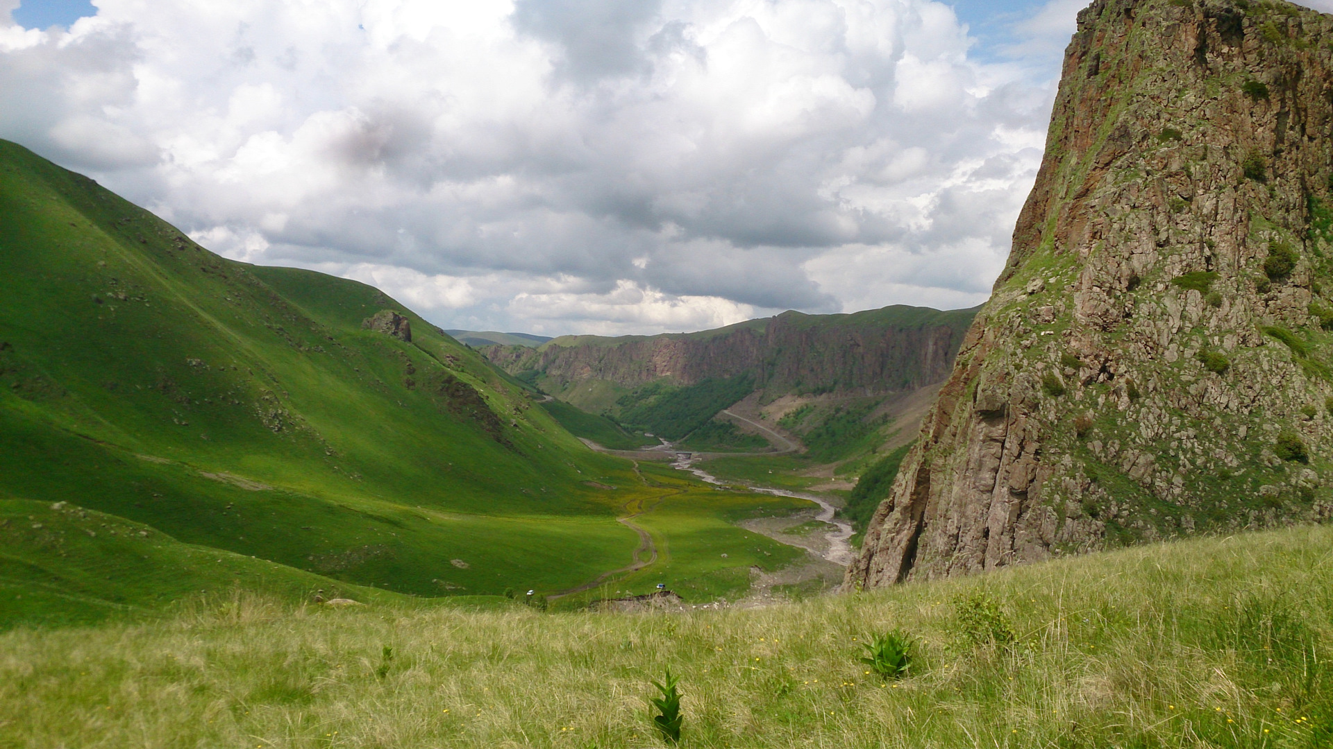 Кичи балык фото