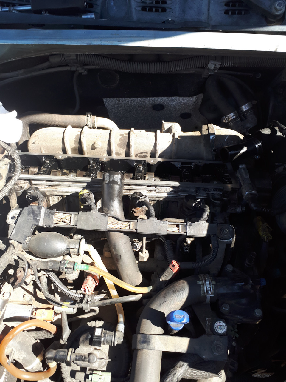 Фото в бортжурнале Citroen Berlingo (1G)