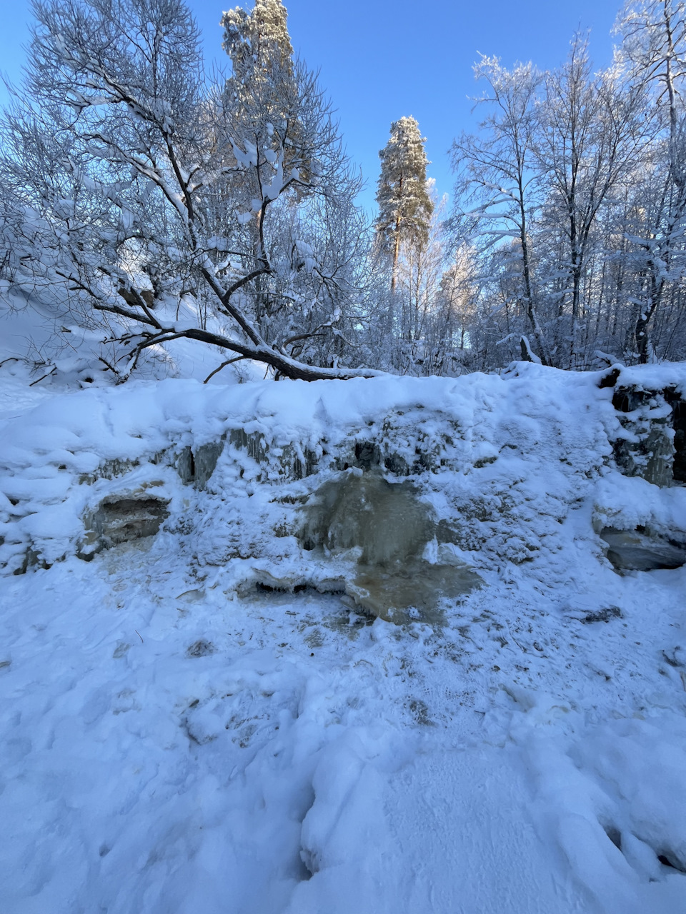 Фото в бортжурнале BMW X3 (E83)