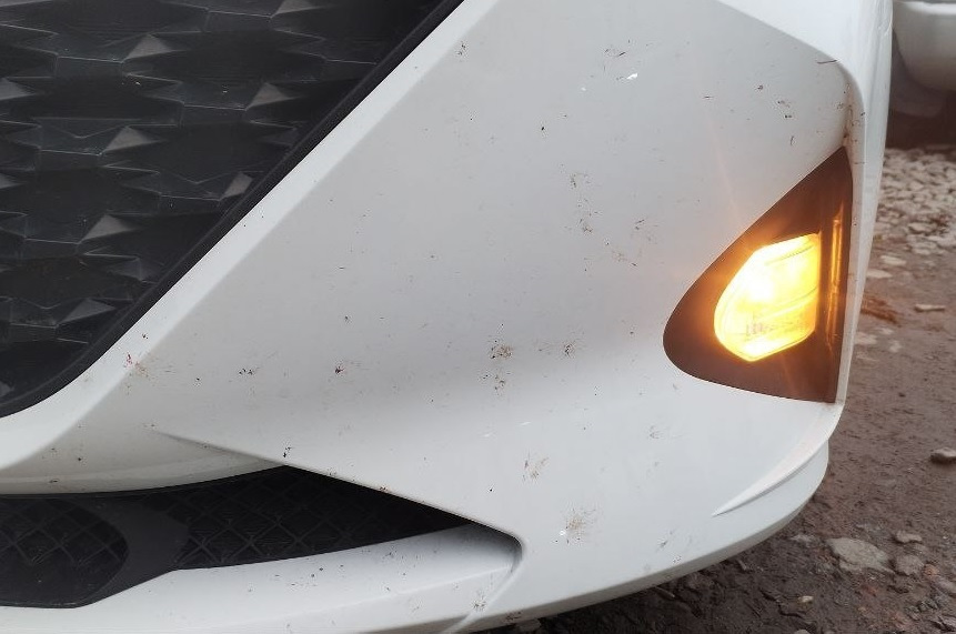 ДХО в жёлтый цвет — Hyundai Solaris (2G), 1,6 л, 2021 года | просто так ...