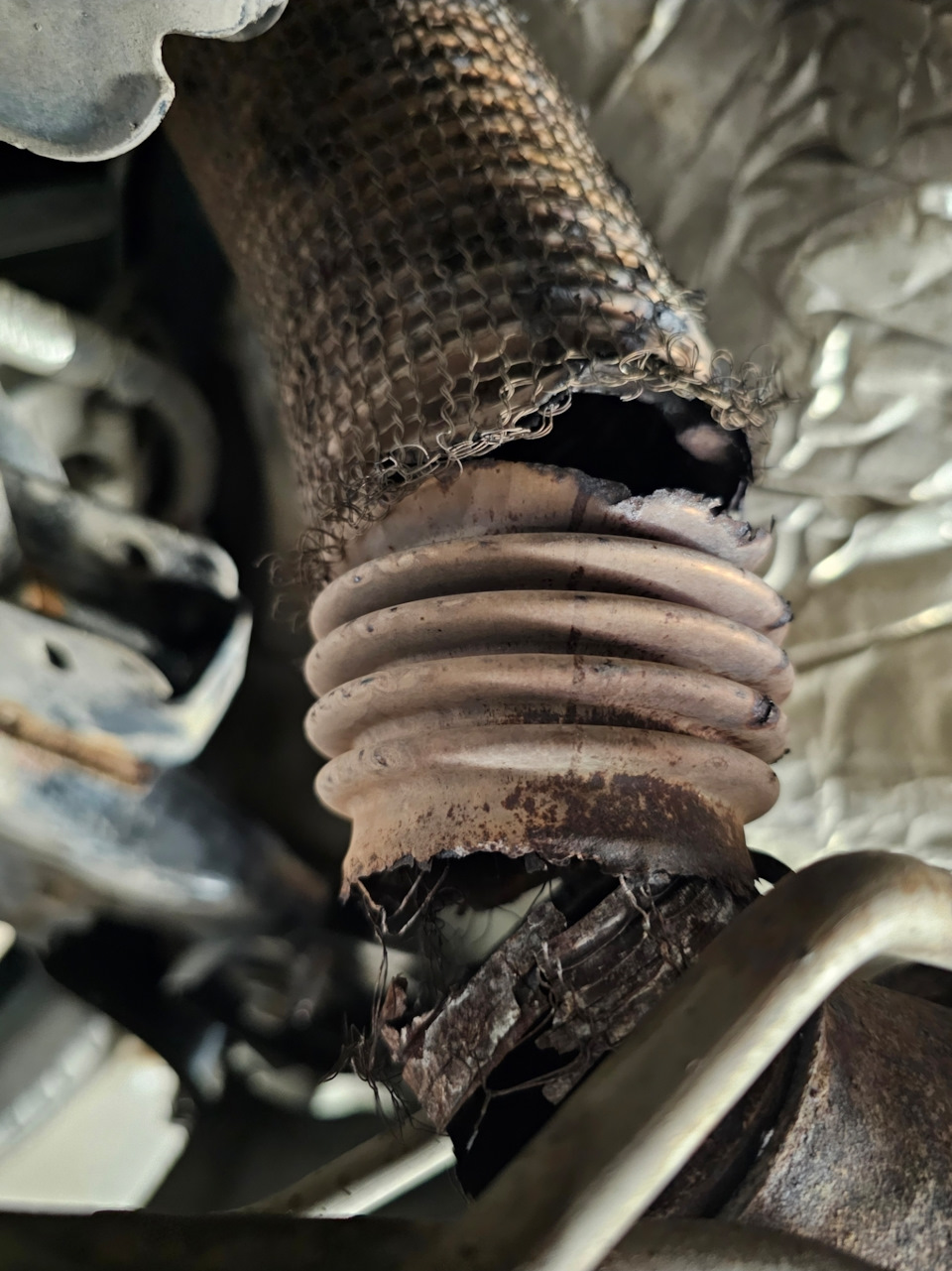 Фото в бортжурнале Ford Fusion (America) (2G)